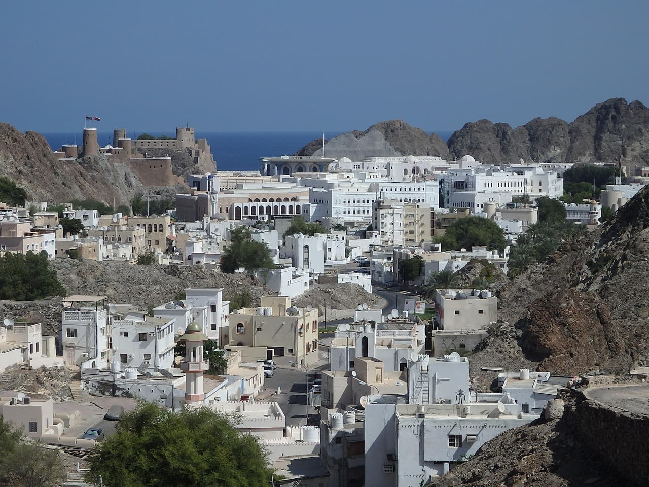 Business consulting in Oman